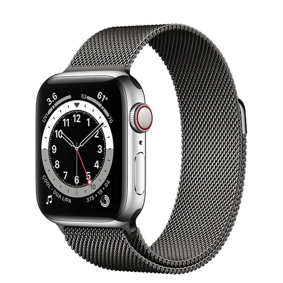 graphite stainless steel apple watch